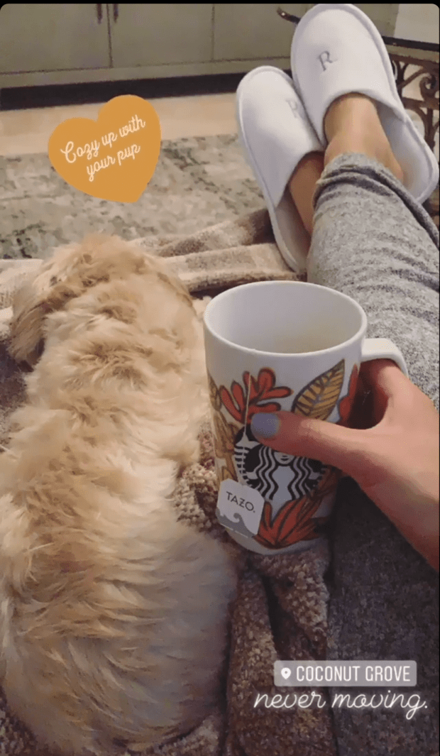 3830d161-d79a-4f99-a5d4-b9a45fdd1ff9